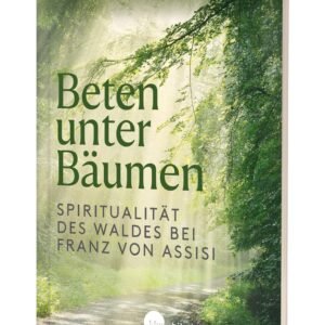 Beten unter Bäumen: Spiritualität des Waldes bei Franz von Assisi - Image 1