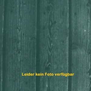 Cantionale, blau: Kantoren- und Chorbuch zum Katholischen Gesang- und Gebetbuch der deutschsprachigen Schweiz - Image 1