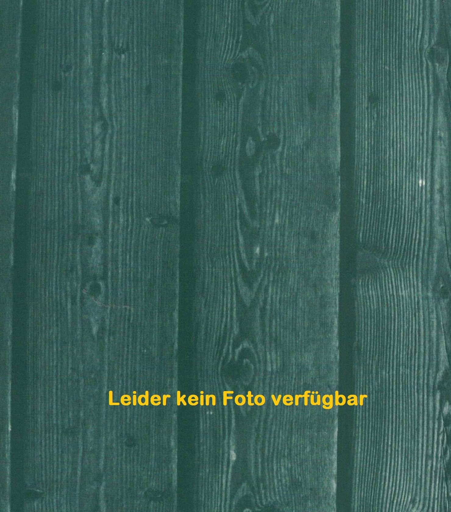 Cantionale, blau: Kantoren- und Chorbuch zum Katholischen Gesang- und Gebetbuch der deutschsprachigen Schweiz - Image 1
