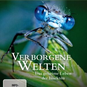 David Attenborough: Verborgene Welten - Das geheime Leben der Insekten - Image 1