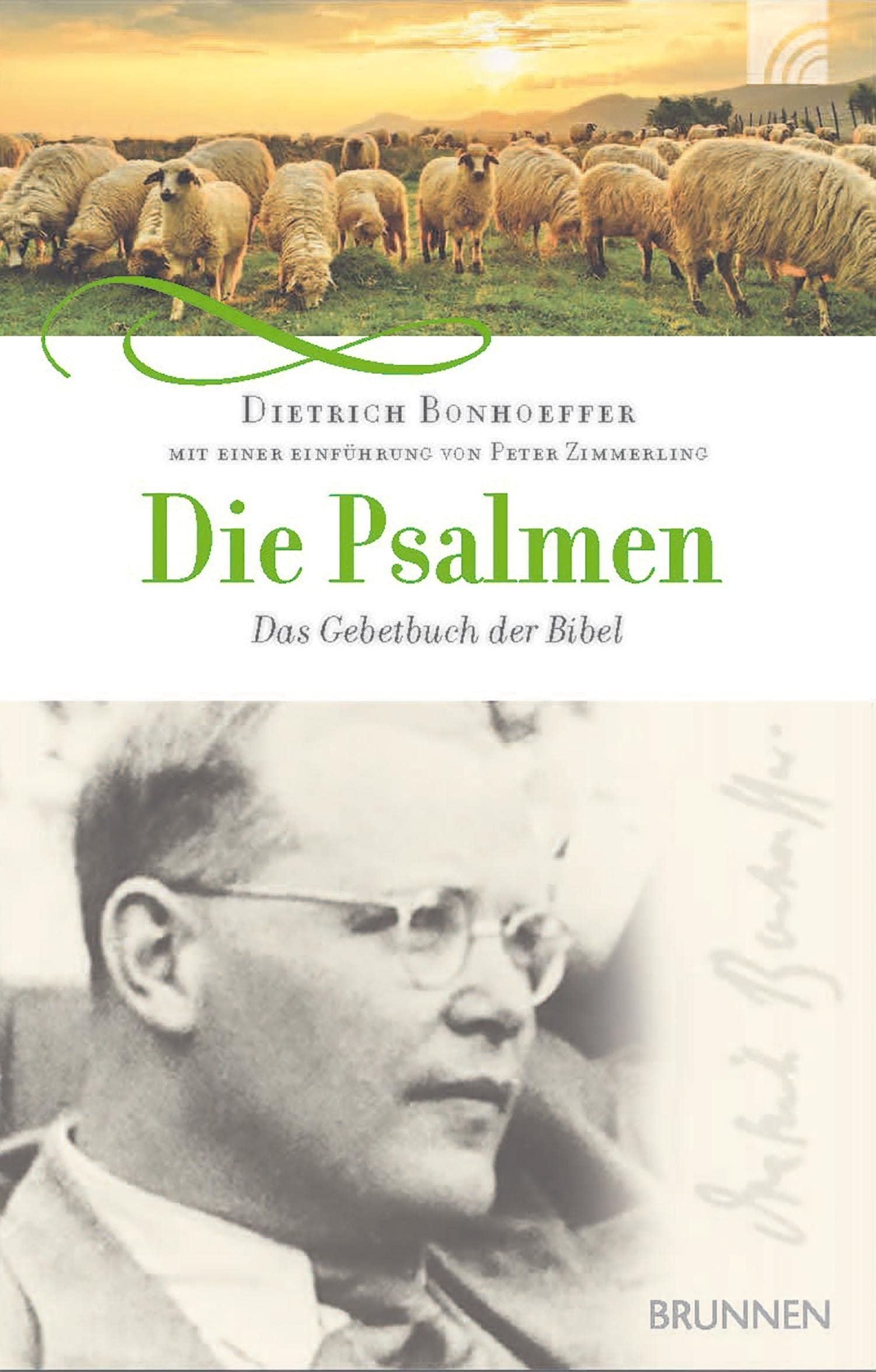 Die Psalmen: Das Gebetbuch der Bibel - Image 1