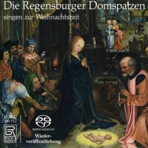 Die Regensburger Domspatzen Singen zur Weihnachtszeit - Image 1