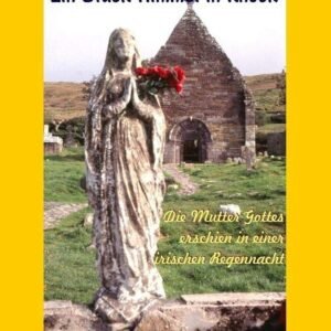 Ein Stück Himmel in Knock: Die Mutter Gottes erschien in einer irischen Regennacht - Image 1