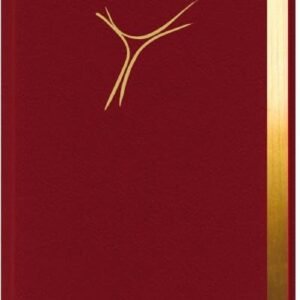 Gotteslob Bistum Essen. Cabra weinrot, Goldschnitt.: Katholisches Gebet- und Gesangbuch. Neues Gotteslob für das Bistum Essen. - Image 1