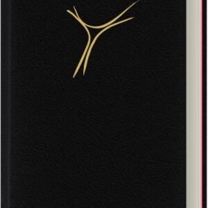 Gotteslob Bistum Essen. Großdruckausgabe Cabra schwarz.: Katholisches Gebet- und Gesangbuch. Neues Gotteslob für das Bistum Essen. - Image 1