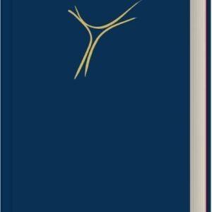Gotteslob Bistum Passau. Großdruckausgabe dunkelblau.: Katholisches Gebet- und Gesangbuch. Neues Gotteslob für das Bistum Passau. - Image 1