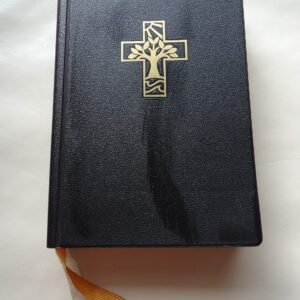 Gotteslob - Kastholisches Gebet- und Gesangsbuch für das Bistum Aachen schwarz mit Goldkreuz - Großdruck : - Image 1