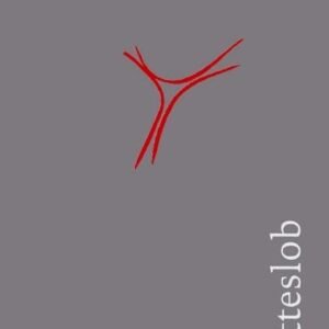 Gotteslob: Katholisches Gebet- und Gesangbuch 2013 Ausgabe für die Diözese Würzburg Balacron grau (Standardausgabe) - Image 2