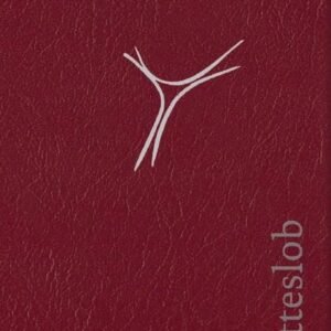 Gotteslob: Katholisches Gebet- und Gesangbuch 2013 Ausgabe für die Diözese Würzburg Cabra weinrot (Naturschnitt) - Image 1