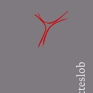 Gotteslob: Katholisches Gebet- und Gesangbuch 2013 Ausgabe für die Diözese Würzburg Großdruck - Image 3