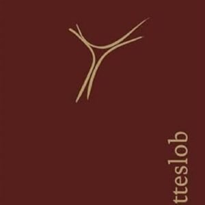 Gotteslob Lederausgabe weinrot, Goldschnitt: Bistum Augsburg - Image 1
