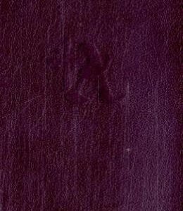 Gotteslob. Katholische Gebet- und Gesangbuch für das Bistum Essen: Leder-Einband rot - Image 1
