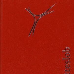 Gotteslob. Katholisches Gebet- und Gesangbuch, Ausgabe Bistum Münster: Lederoptik rot mit Goldschnitt im Schuber - Image 1