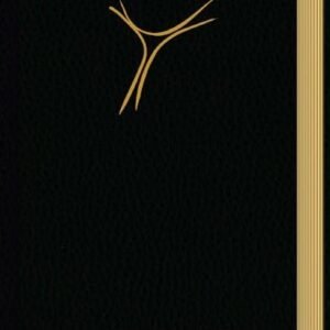 Gotteslob. Katholisches Gebet- und Gesangbuch. Ausgabe für die Diözese Regensburg: Ausgabe Kunstleder schwarz Goldschnitt (Gotteslob: Ausgabe für die Diözese Regensburg) - Image 1