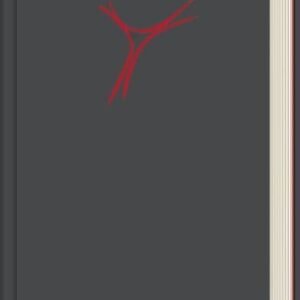 Gotteslob. Katholisches Gebet- und Gesangbuch. Ausgabe für die Diözese Regensburg: Ausgabe Kunststoff grau - Image 1