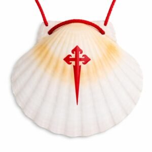Jakobsweg Pilgermuschel – Leicht gemasert – echte Muschel aus Galizien - Image 1