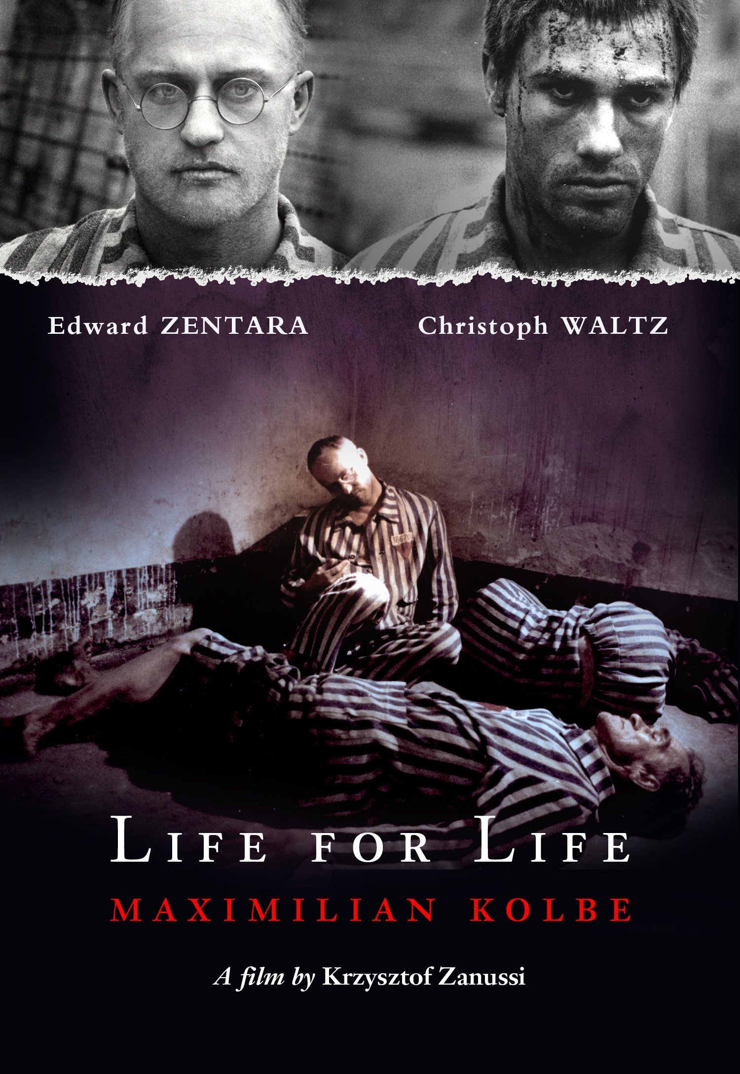 Life for Life: Maximilian Kolbe - Image 1