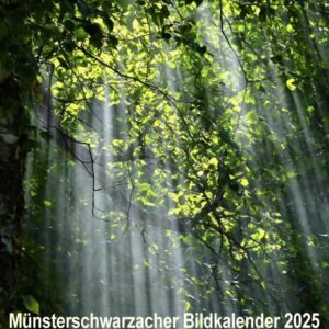 Münsterschwarzacher Bildkalender 2025 (Münsterschwarzacher Kalender) - Image 1