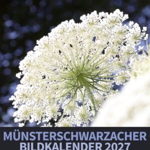 Münsterschwarzacher Bildkalender 2027 (Münsterschwarzacher Kalender) - Image 1
