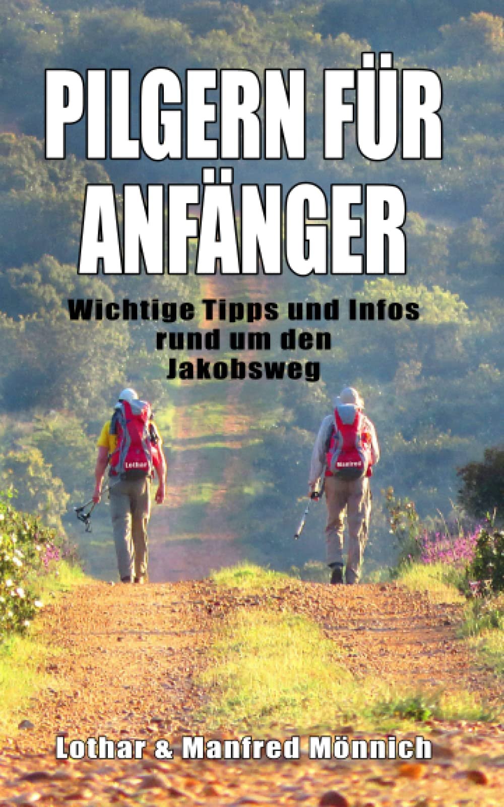 Pilgern für Anfänger: Wichtige Tipps & Infos rund um den Jakobsweg / Camino Francés - Image 1
