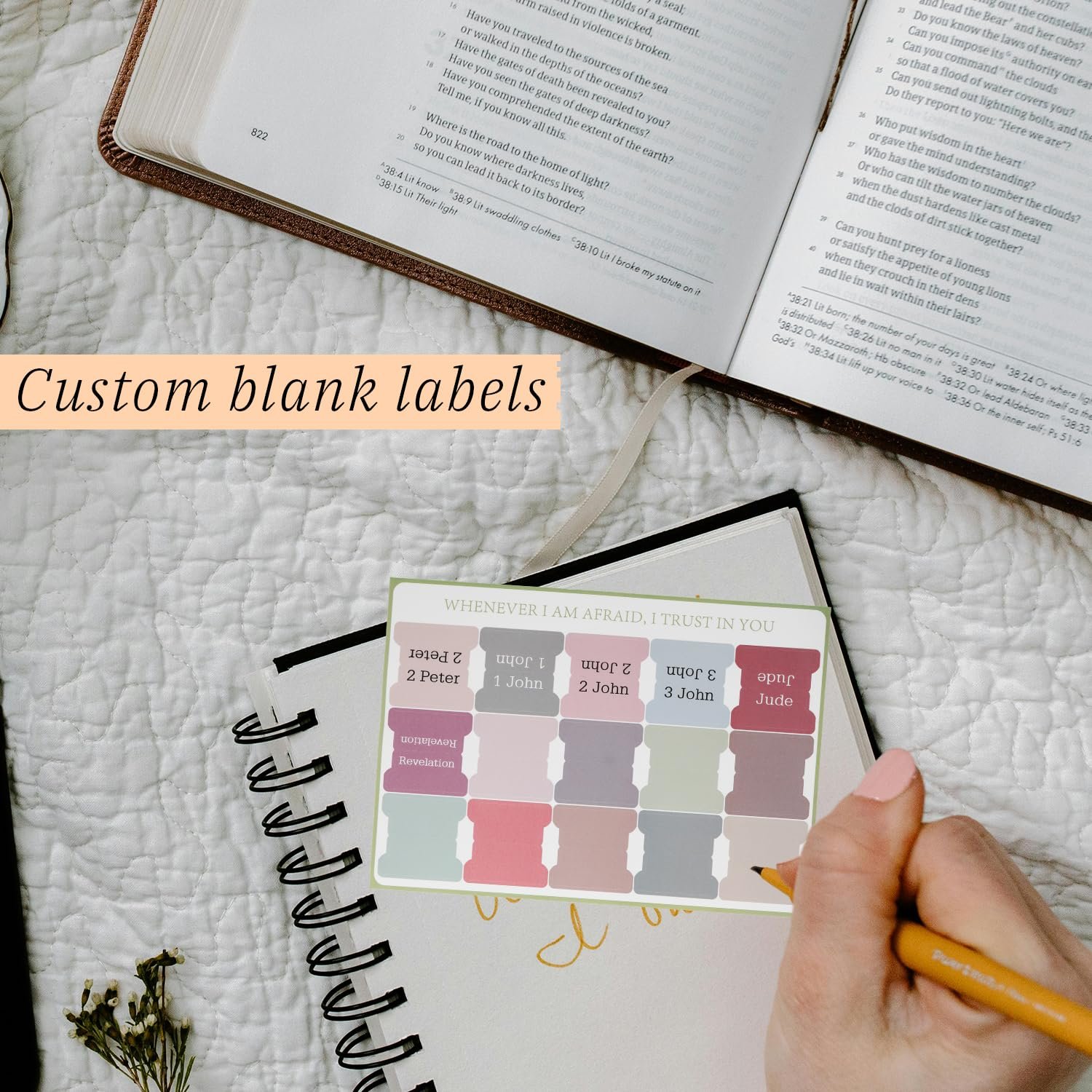 Tabanzhe Bibel-Tabs, 75 Stück, Bibel-Tabs, Index-Aufkleber für Damen und Herren, Studium, Journaling-Zubehör, großer Druck, laminiert, christliches Geschenk mit Positionierungsanleitung und Blanko - Image 3
