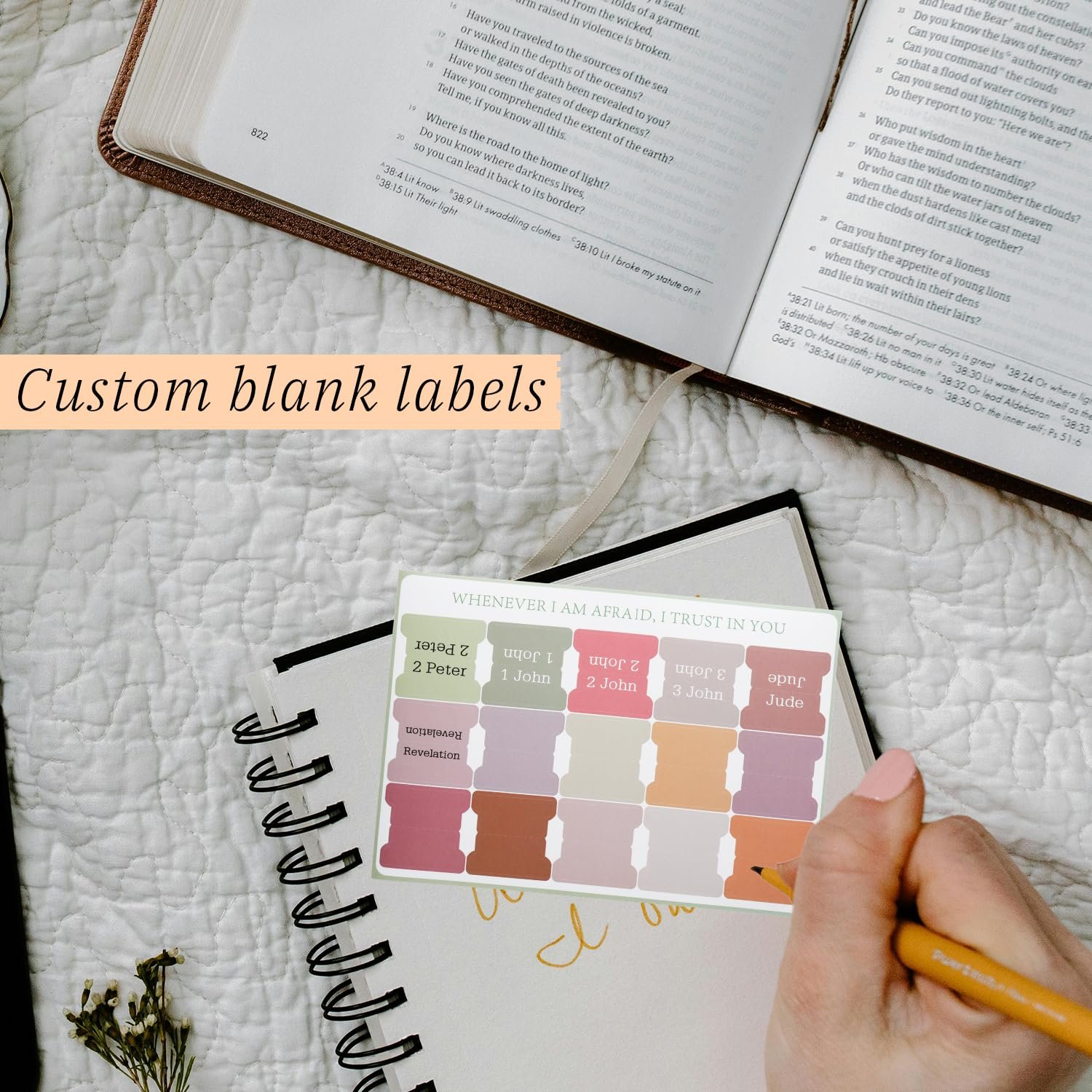 Tabanzhe Bibel-Tabs, 75 Stück, Bibel-Tabs, Index-Aufkleber für Damen und Herren, Studium, Journaling-Zubehör, großer Druck, laminiert, christliches Geschenk mit Positionierungsanleitung und Blanko - Image 4