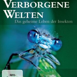 Verborgene Welten - Das geheime Leben der Insekten [2 DVDs] - Image 1