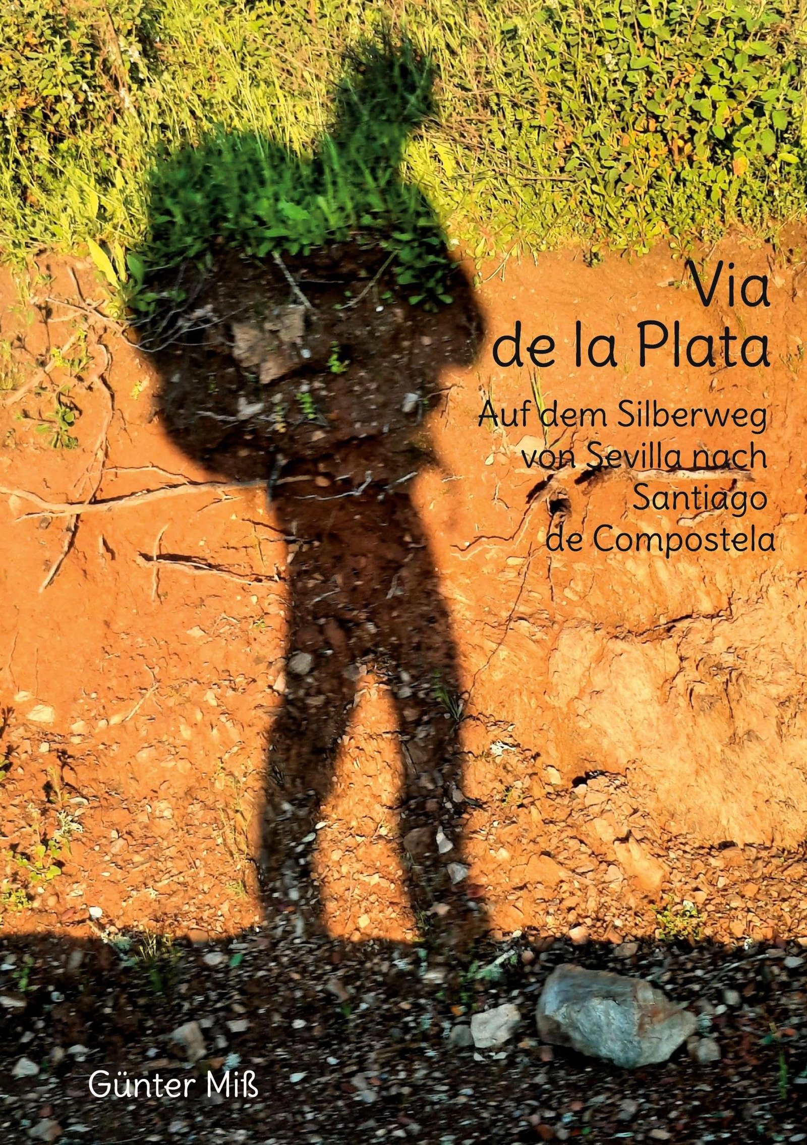 Via de la Plata: Auf dem Silberweg von Sevilla nach Santiago de Compostela - Image 1